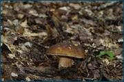 0_d2a30_60486863_orig.jpg