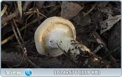 0_127edf_916efd3c_orig.png