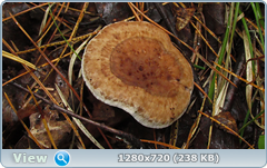 0_eb27b_869f6521_orig.png
