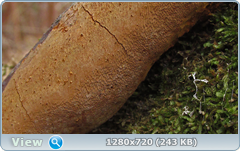 0_f5a01_4b98d3a0_orig.png