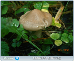 0_fb161_9a95b294_orig.png