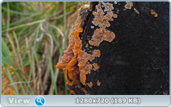 0_f309f_7e972068_orig.png