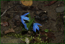 0_e0041_94a8f3ab_orig.png