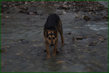 0_e00bd_ae039618_orig.png