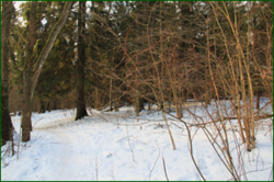 0_116d3d_473dae54_orig.png