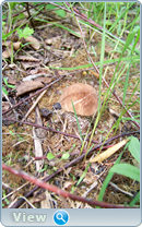 0_102be6_769e6211_orig.png