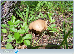 0_102c37_5c3ea52_orig.png