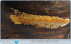 0_102024_2b97d2e1_orig.png