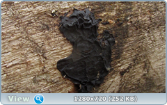 0_10293f_28533cdf_orig.png