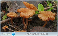 0_10a313_92b9ff99_orig.png