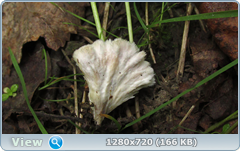 0_10a329_48d11c28_orig.png