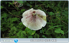 0_112128_dd12e939_orig.png