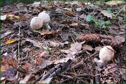 0_122db7_2762dbb1_orig.jpg