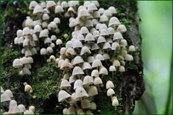0_125df7_c5546ba7_orig.jpg