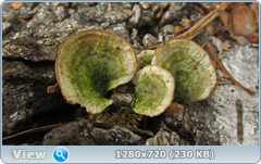 0_10203a_4844e499_orig.png