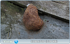 0_109331_d722d90_orig.png