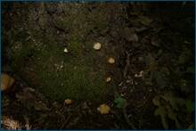 0_ce7e6_d3f38828_orig.jpg