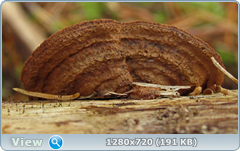 0_f5660_6248115b_orig.png