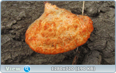 0_fc3fc_751bc9cd_orig.png