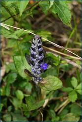 0_ccf9f_7418a085_orig.jpg