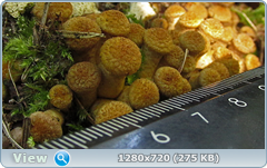 0_fc710_cf6a984a_orig.png