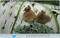 0_12ab93_e661736e_orig.png