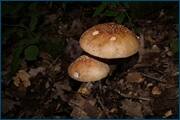 0_d2440_c639cf3c_orig.jpg