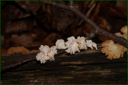 0_d9453_82bd7d04_orig.png