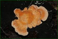 0_fc641_49299ebe_orig.jpg