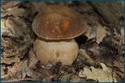 0_d25ab_b38253d_orig.jpg