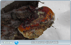 0_fa659_892109da_orig.png