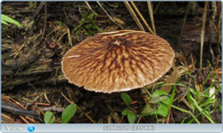 0_fc0d0_f06340f4_orig.png