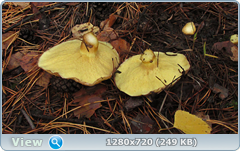 0_f2732_6f7ff6e5_orig.png
