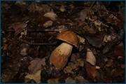 0_d2428_286a73c4_orig.jpg