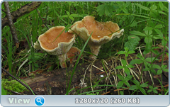 0_e6baf_2e60e572_orig.png