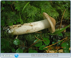 0_fb163_4d6f19a7_orig.png