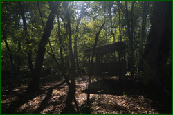 0_d9605_f66e12ed_orig.png