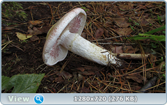 0_fbe81_d3da9003_orig.png