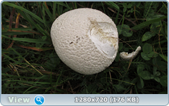 0_fbe9b_d22605e1_orig.png