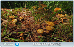 0_e6d17_19c62c61_orig.png
