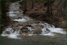 0_e0017_dc619181_orig.png
