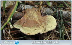 0_fc16f_90e77216_orig.png