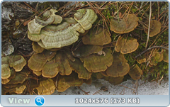 0_1375fb_1af9edc4_orig.png