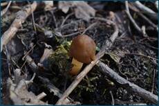0_cc611_4626090c_orig.jpg