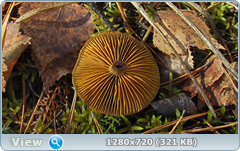 0_fc046_d3eca3c5_orig.png