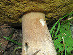 0_8fd8b_b6239a49_S.jpg
