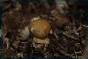 0_d2a78_21f155bf_orig.jpg