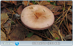 0_f5014_7a289722_orig.png