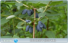 0_e786d_2d594c41_orig.png
