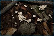0_d0c6a_e4d7559d_orig.jpg